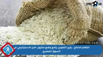 انتظام الإنتاج.. وزير التموين يتابع وضع مخزون الأرز الاستراتيجي في السوق المصري